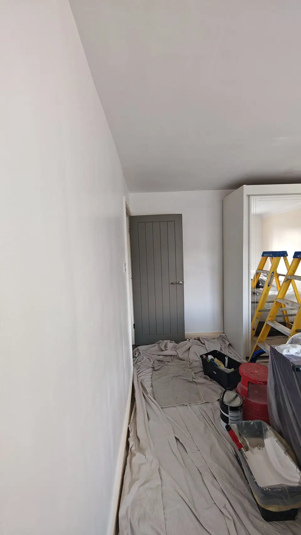 During: walls in fresh white and the door in grey, floor protected