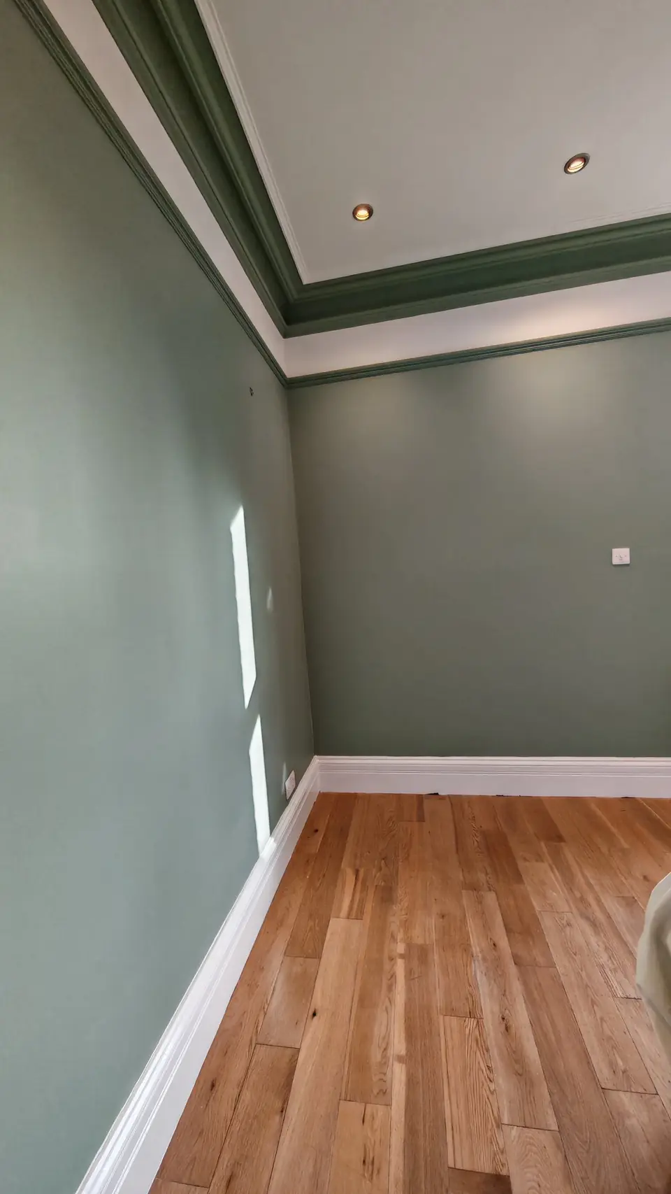 The same wall re-boarded and painted sage green under the dark green cornice