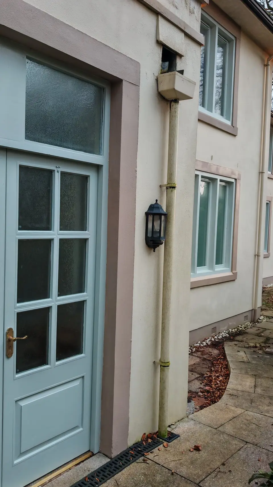 Glazed door and windows painted to match in sage green
