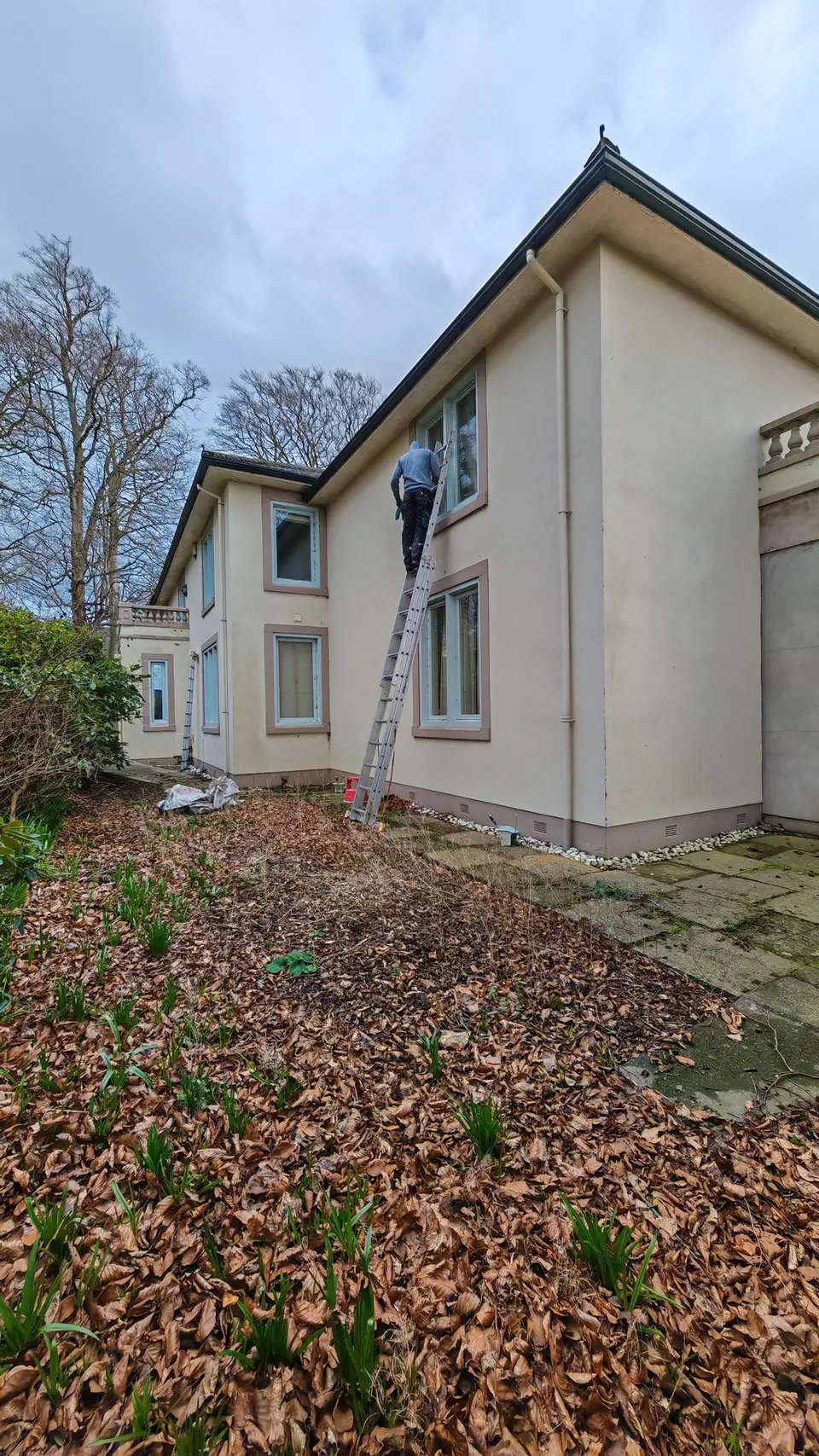 During: painting the upper windows from the ladder, rear elevation