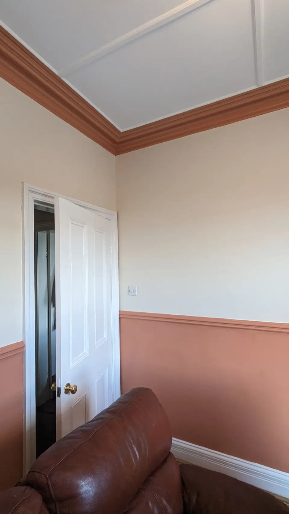 Terracotta below the dado rail, cream above