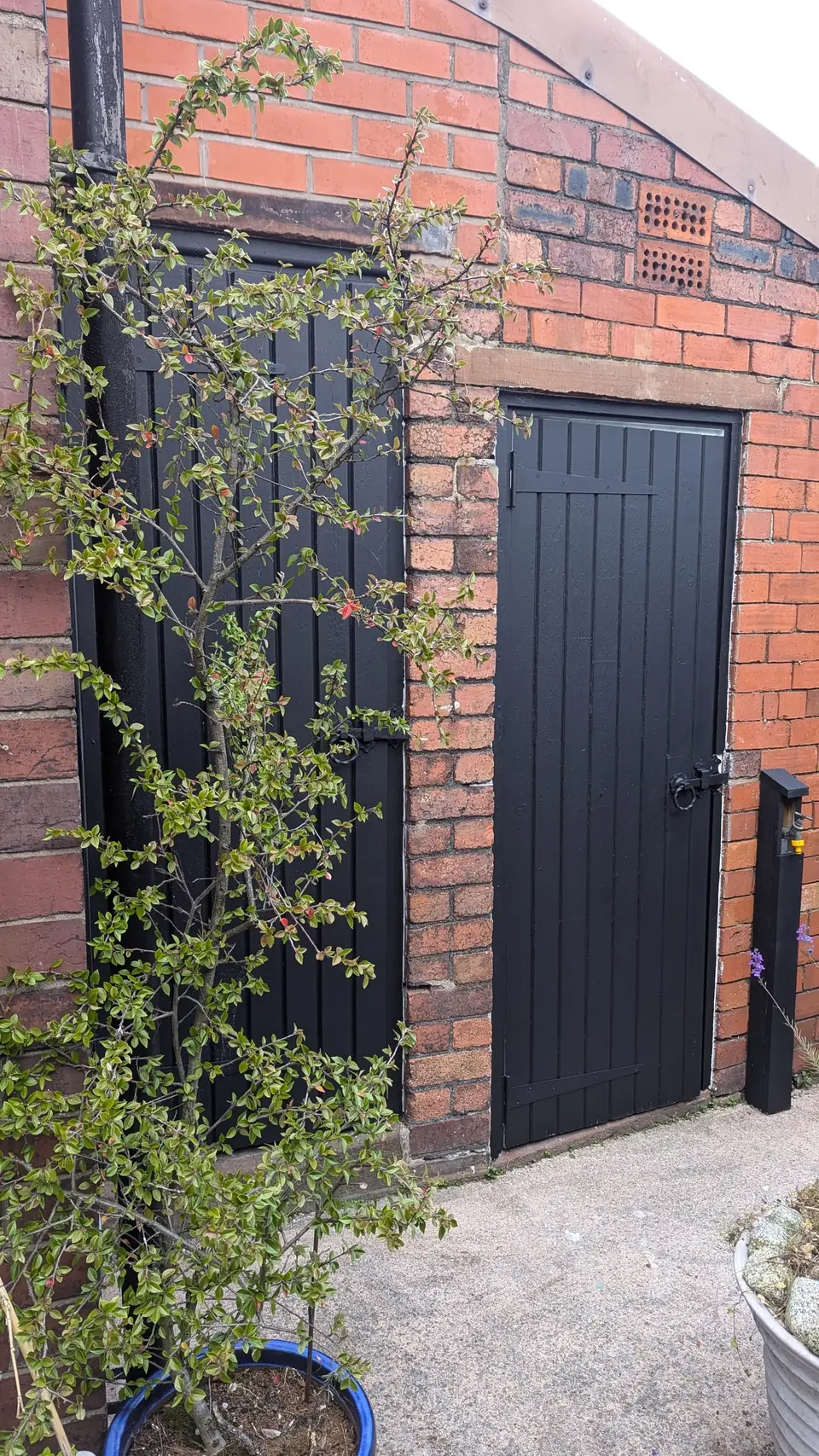 Black painted gate door in the yard