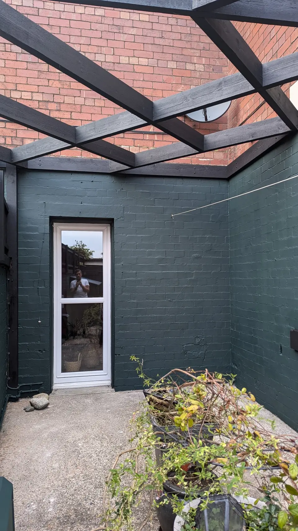 Dark green walls and pergola around the back door